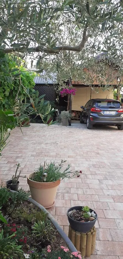 Apartmani Mary Povljana Croatia